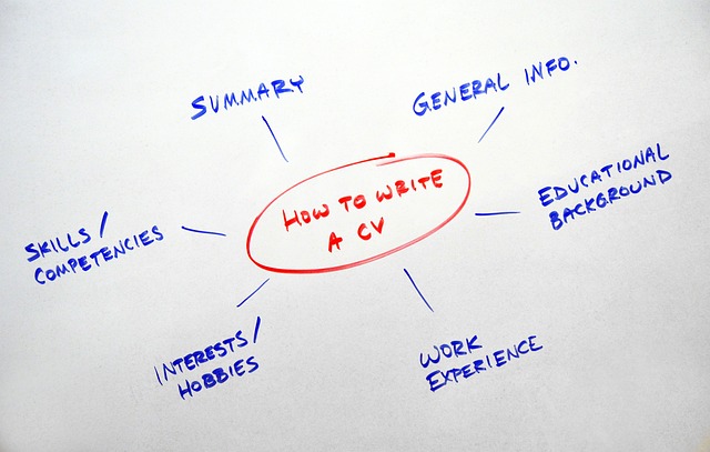 resume mindmap